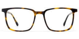 Aidan Tortoise Rectangle Glasses0