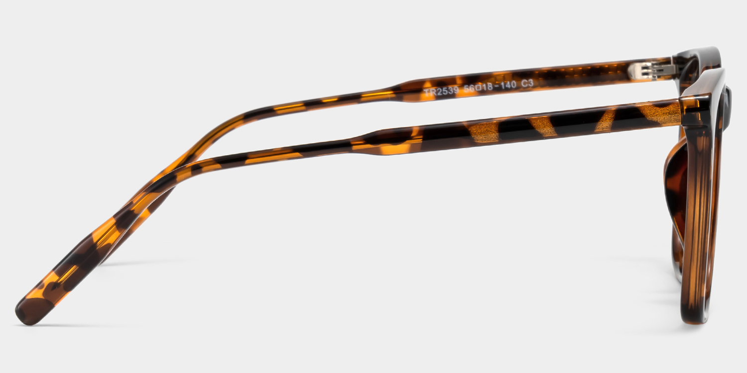 Malika Tortoise Frame Polarized Sunglasses with square Style Online | ZEELOOL UK3