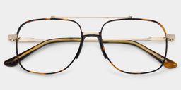 Poppy Tortoise Aviator Glasses1