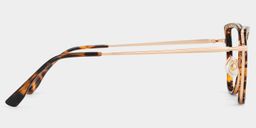 Sloane Tortoise Cat eye Glasses3