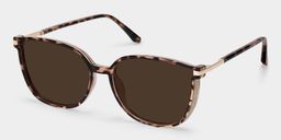 Rodz Tortoise Square Sunglasses2