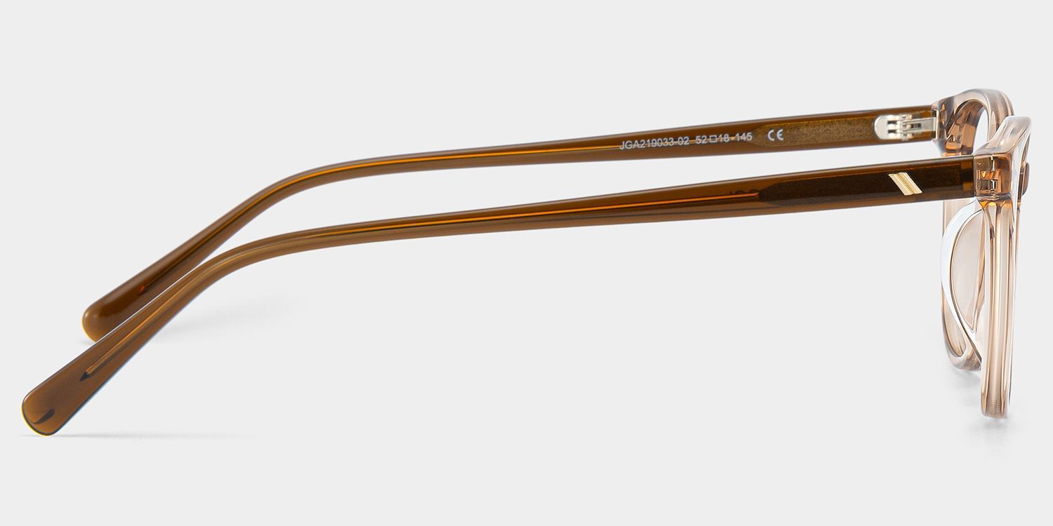 Allison Round Transparent Brown Glasses for the Female | ZEELOOL4