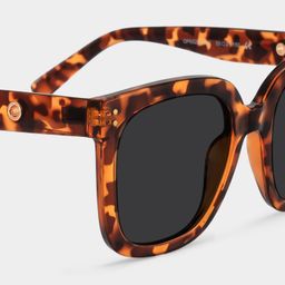 Ebony Square Tortoise Glasses4