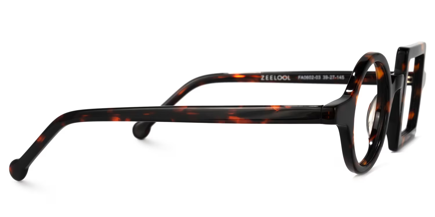 Paola Tortoise Asymmetric Square Circle Glasses2