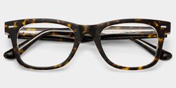 Robert Rectangle Tortoise Glasses2