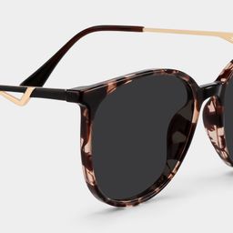 Chanty Tortoise Round Sunglasses4