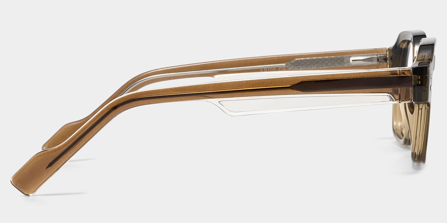 Joy Brown Frame Glasses with Geometric Frame Online | ZEELOOL4