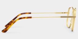 Poppy Gold Aviator Glasses3