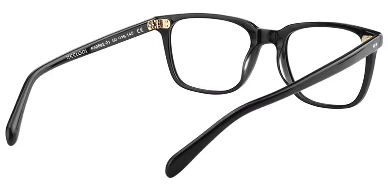 Lamont Rectangle Black Eyeglasses and Glasses Frames5