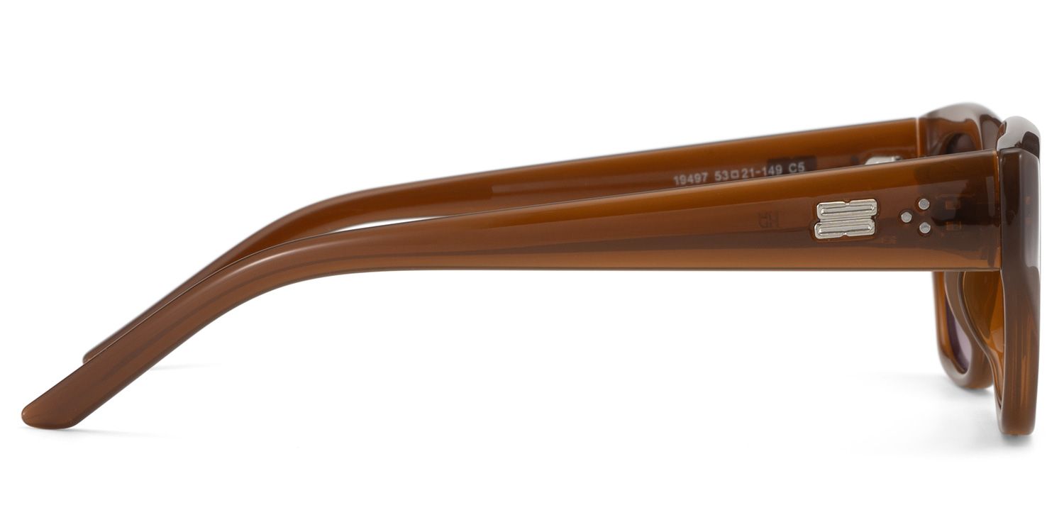 Serene Brown Clear Cat eye Polarized Sunglasses Online | ZEELOOL UK3