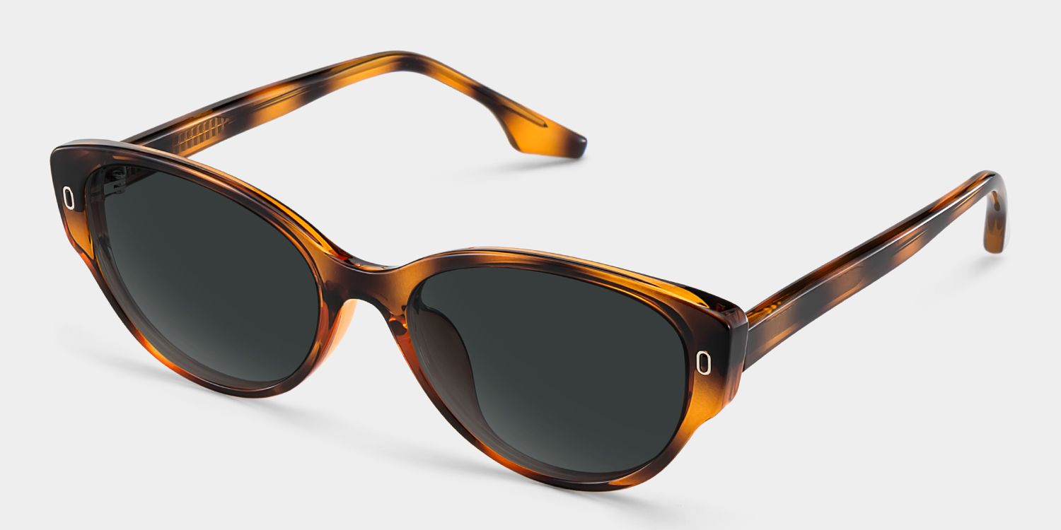 Livia Tortoise Frame Polarized Sunglasses with cat-eye Style Online | ZEELOOL UK2