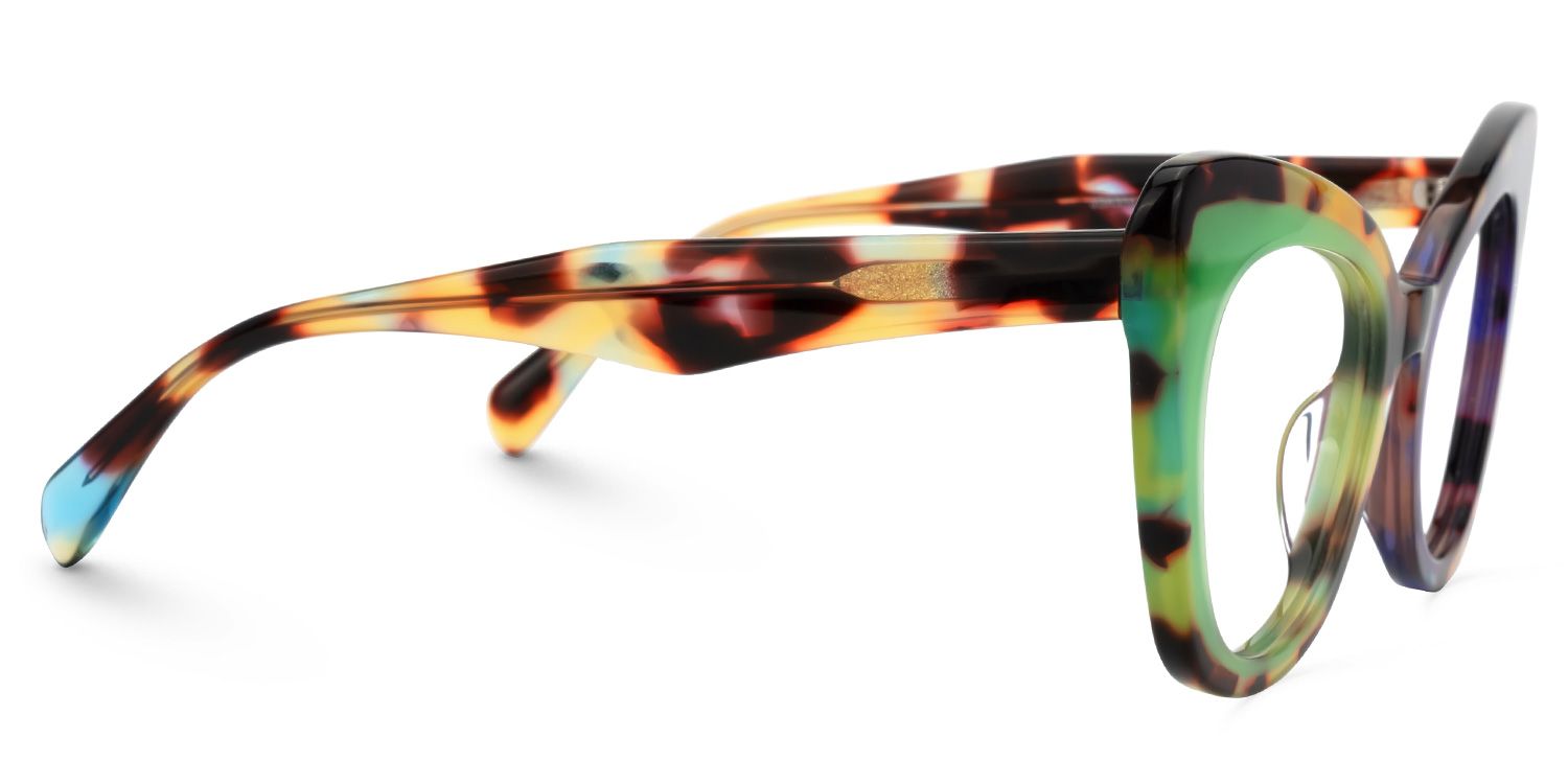 Dunkley Designer Eyeglasses in Cateye Multicolor Frame2