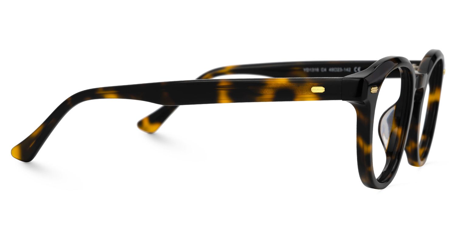 Dicks Eyeglasses in Round Tortoise Frame | ZEELOOL UK2