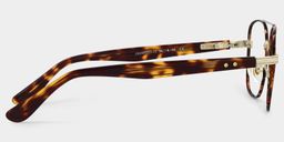 Anderson Aviator Tortoise Glasses4