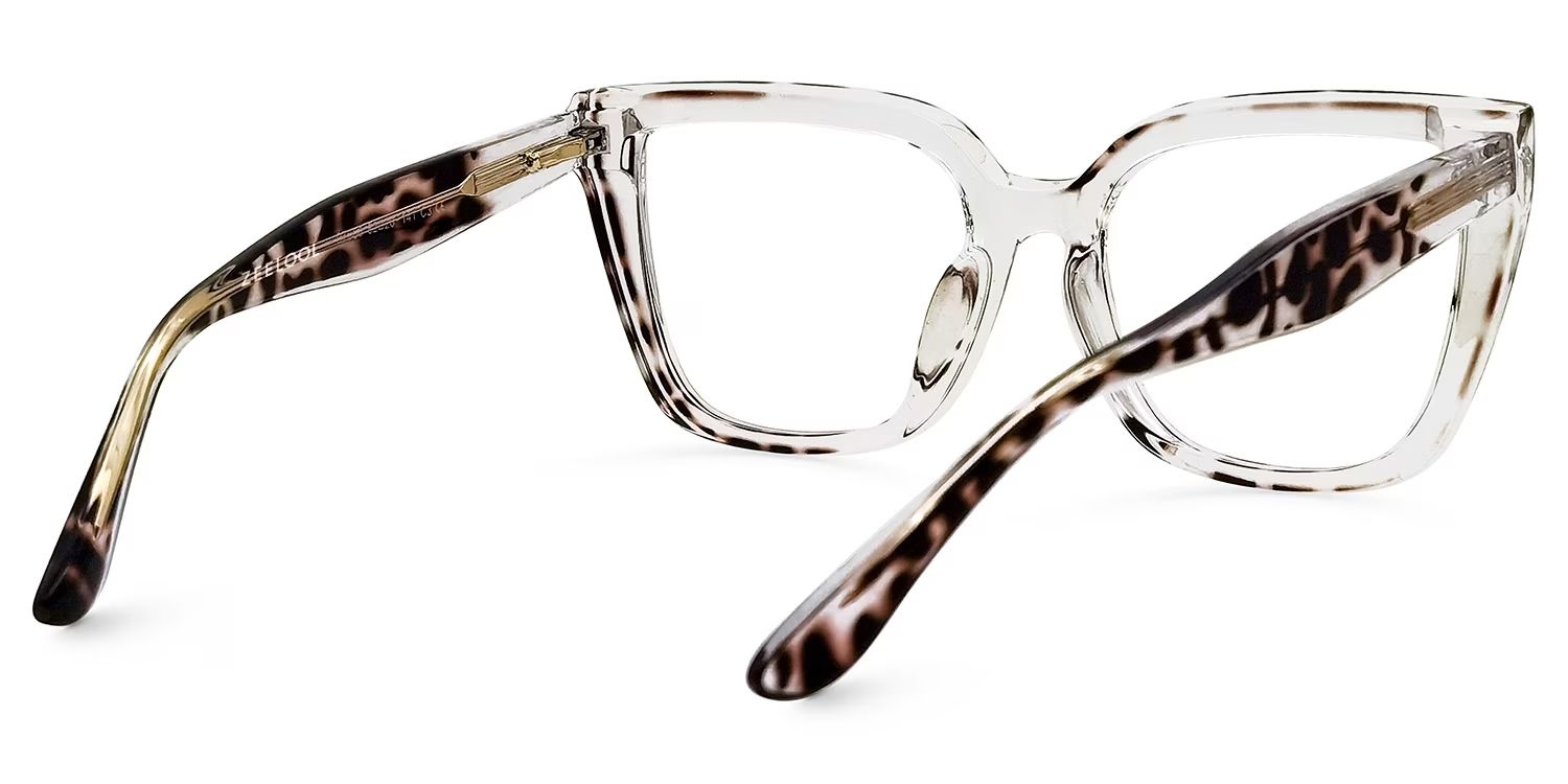 Mirta Square Tortoise Eyeglasses and Clear Frame3