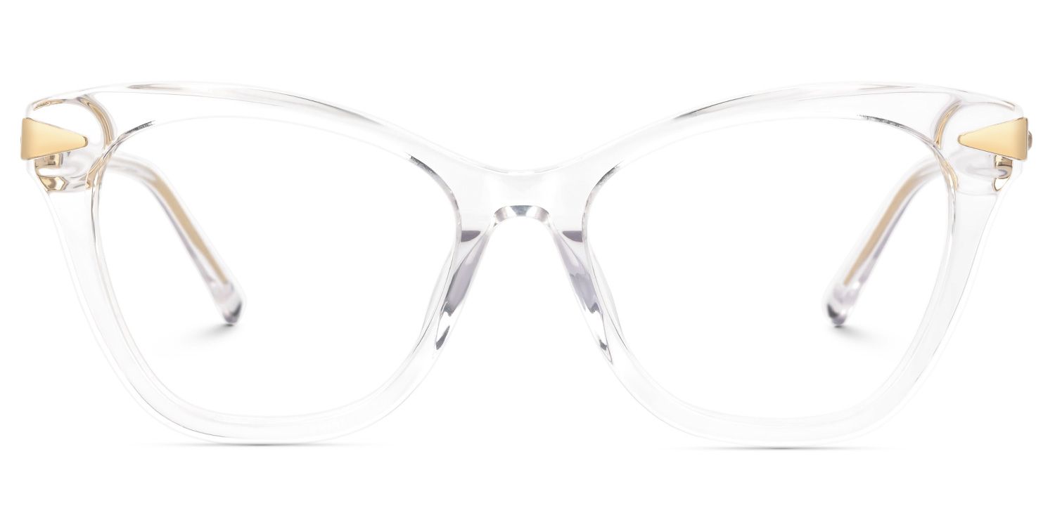 Designer Cledus Glasses in Mixed-Materials Full-Frame0