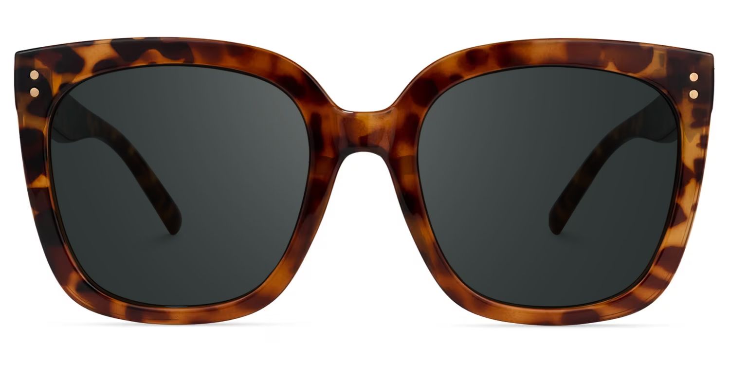 Ebony Tortoise Sunglasses and Square Sunglasses Frames0