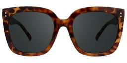 Ebony Square Tortoise Glasses0