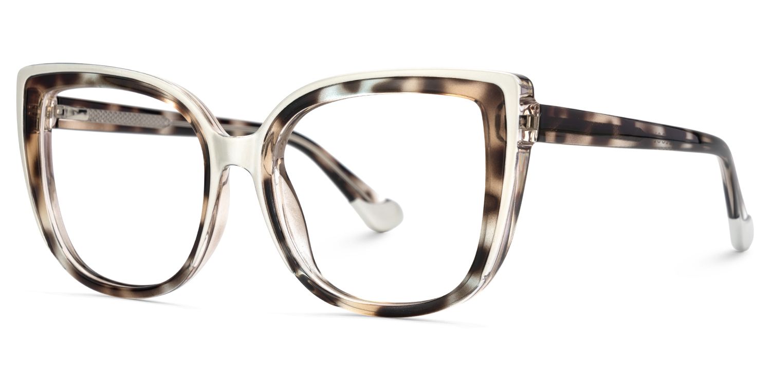 Large Frame Tortoise Shell Glasses For Women3