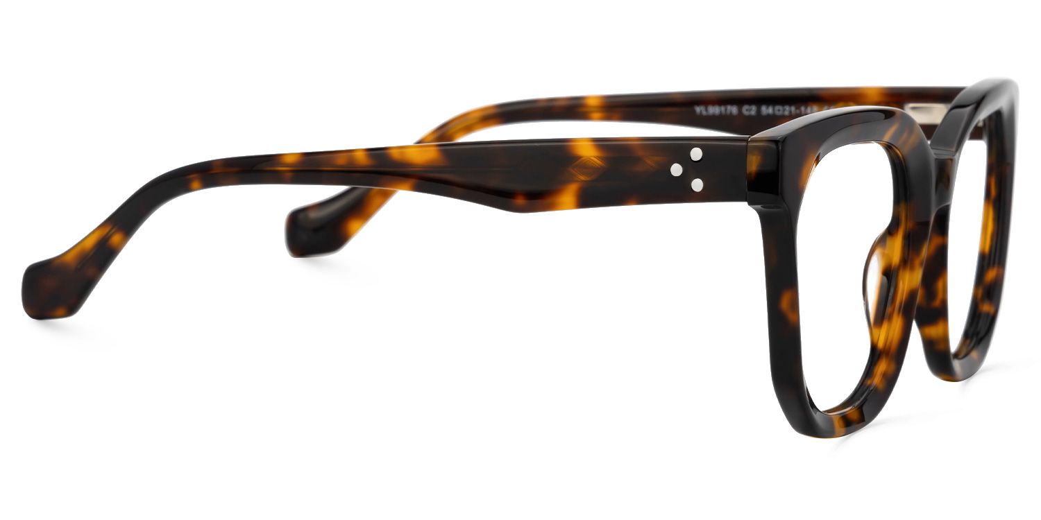Beddoe Tortoise Square Acetate Full-Frame Eyeglasses | ZEELOOL UK2