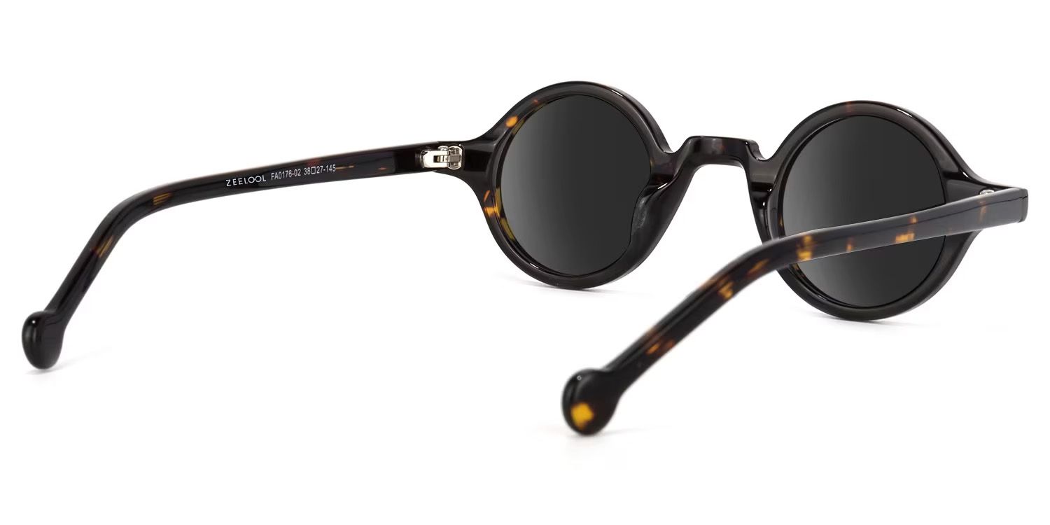 Arale Round Sunglasses with Acetate Tortoise Frames | ZEELOOL CA3