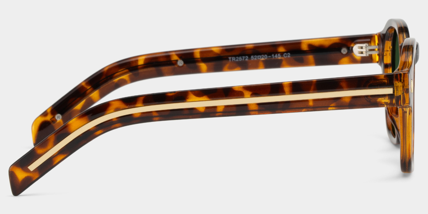 Leilani tortoise Frame Polarized Sunglasses with rectangle Style Online | ZEELOOL UK3