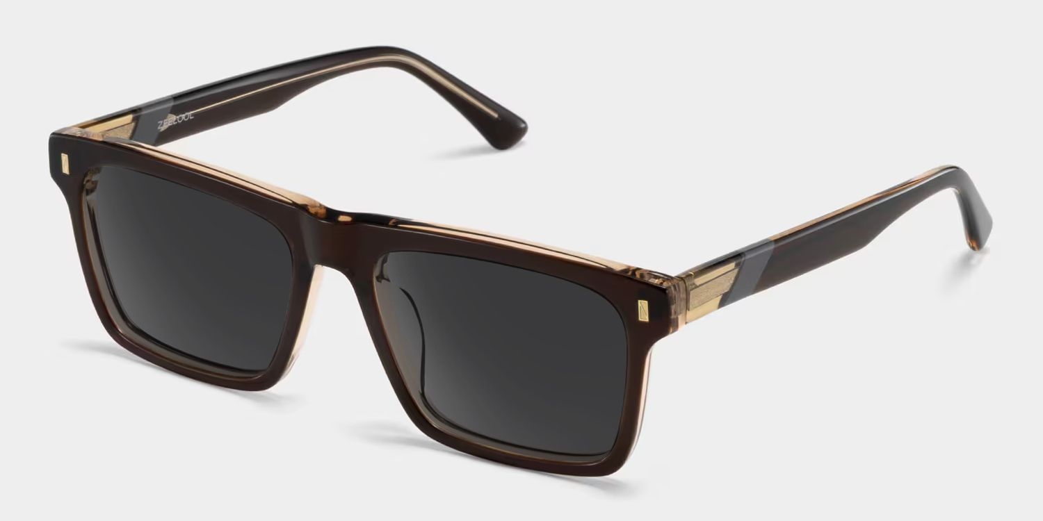 Henry Acetate Brown Rectangle Frame Sunglasses | ZEELOOL UK2