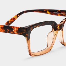 Grover Tortoise Rectangle Glasses4