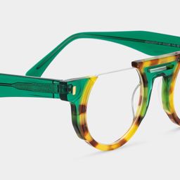 Mastin Round Tortoise Glasses5