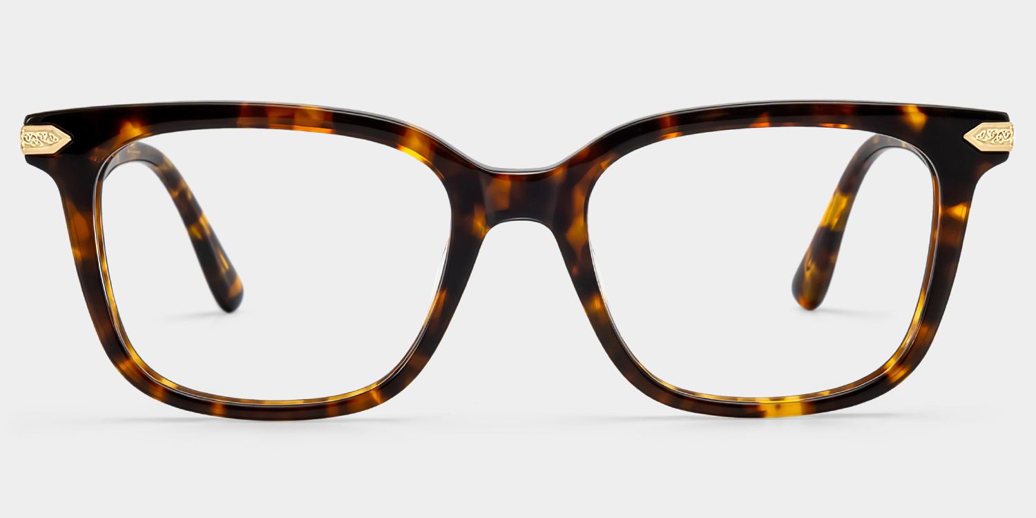 Thomas Tortoise Frame Glasses with Rectangle Frame Online | ZEELOOL1