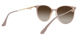 Chanty Round Pink Glasses3