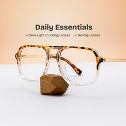 Kilworth Aviator Tortoise clear Glassess1