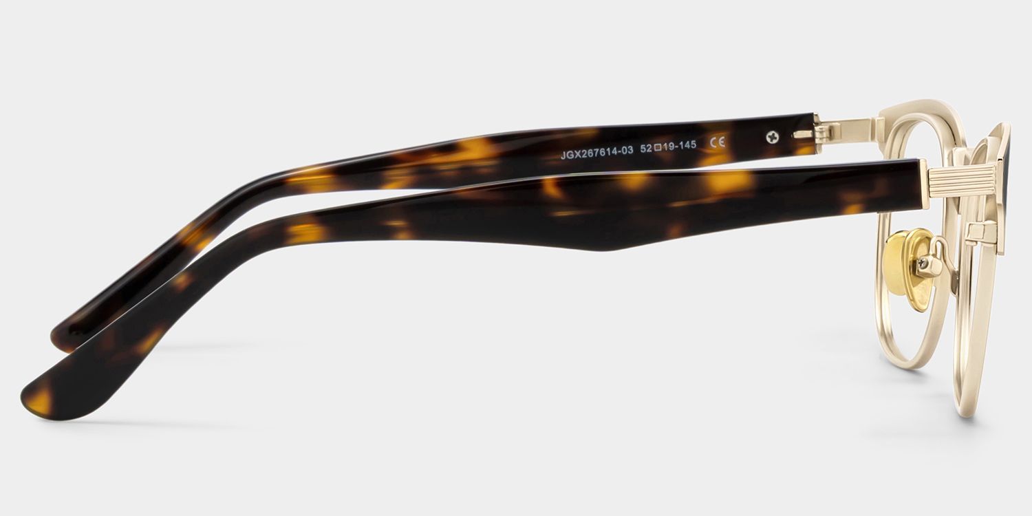 Penelope Tortoise Browline Glasses for Men | ZEELOOL4