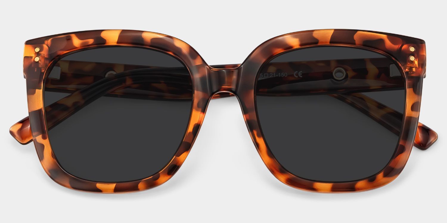 Ebony Tortoise Sunglasses and Square Sunglasses Frames1