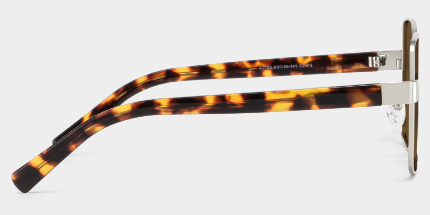 Sahara brown Frame Polarized Sunglasses with square Style Online | ZEELOOL UK4