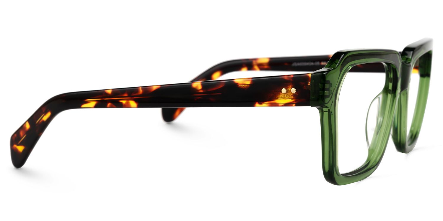 Richard Rectangle Green Eyeglasses and Tortoise Temples3