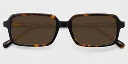 Danielle Tortoise Rectangle Glasses1