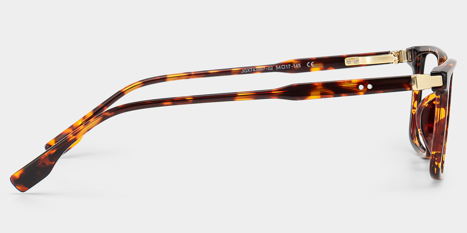 Cyrus Rectangle Tortoise Glasses4