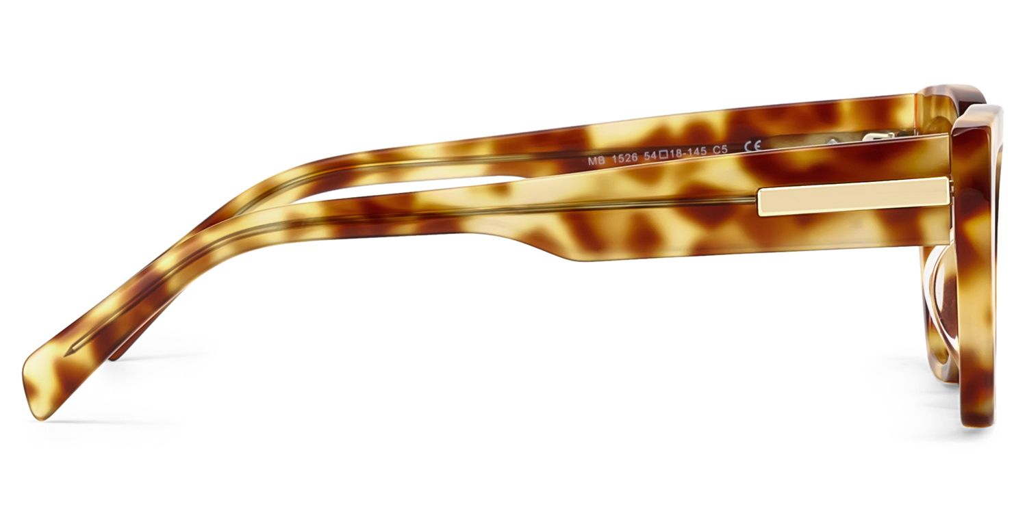 Zia tortoise Frame Polarized Sunglasses with cat-eye Style Online | ZEELOOL UK3