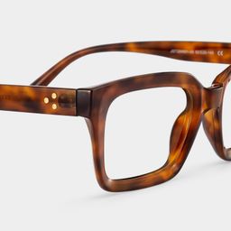 Marley Tortoise Rectangle Glasses4