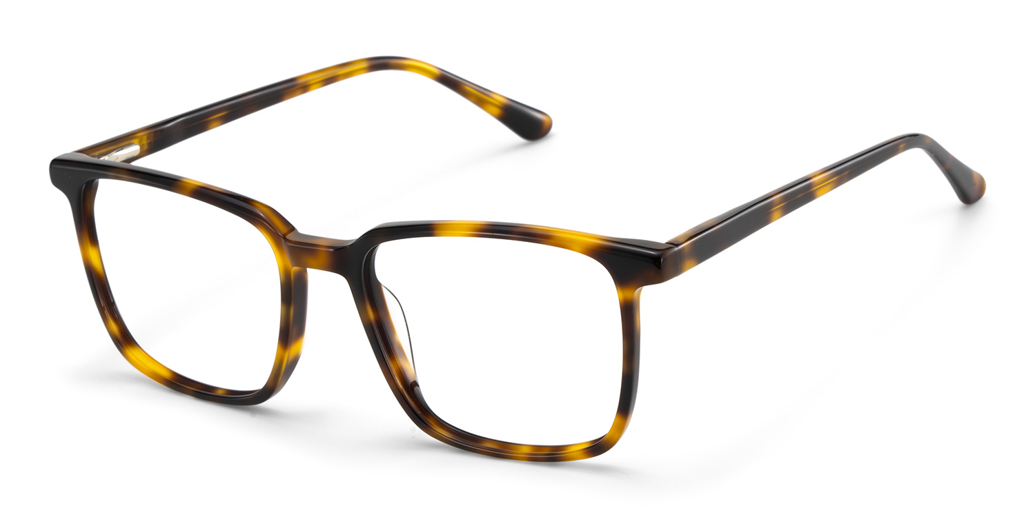 Aidan Rectangle Tortoise Glasses2