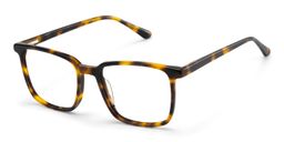 Aidan Rectangle Tortoise Glasses2