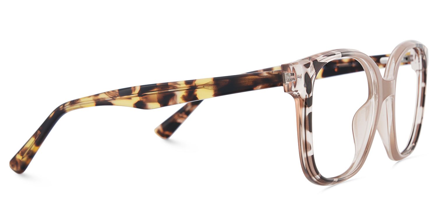 Square Tortoise Eyeglasses With Khaki Color Matching5