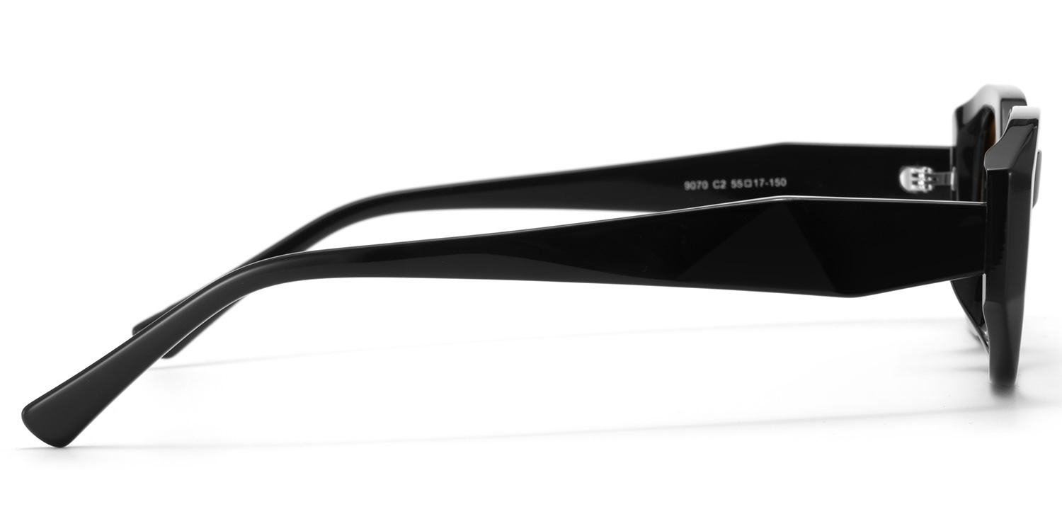 Kiara Geometric Black Sunglasses3