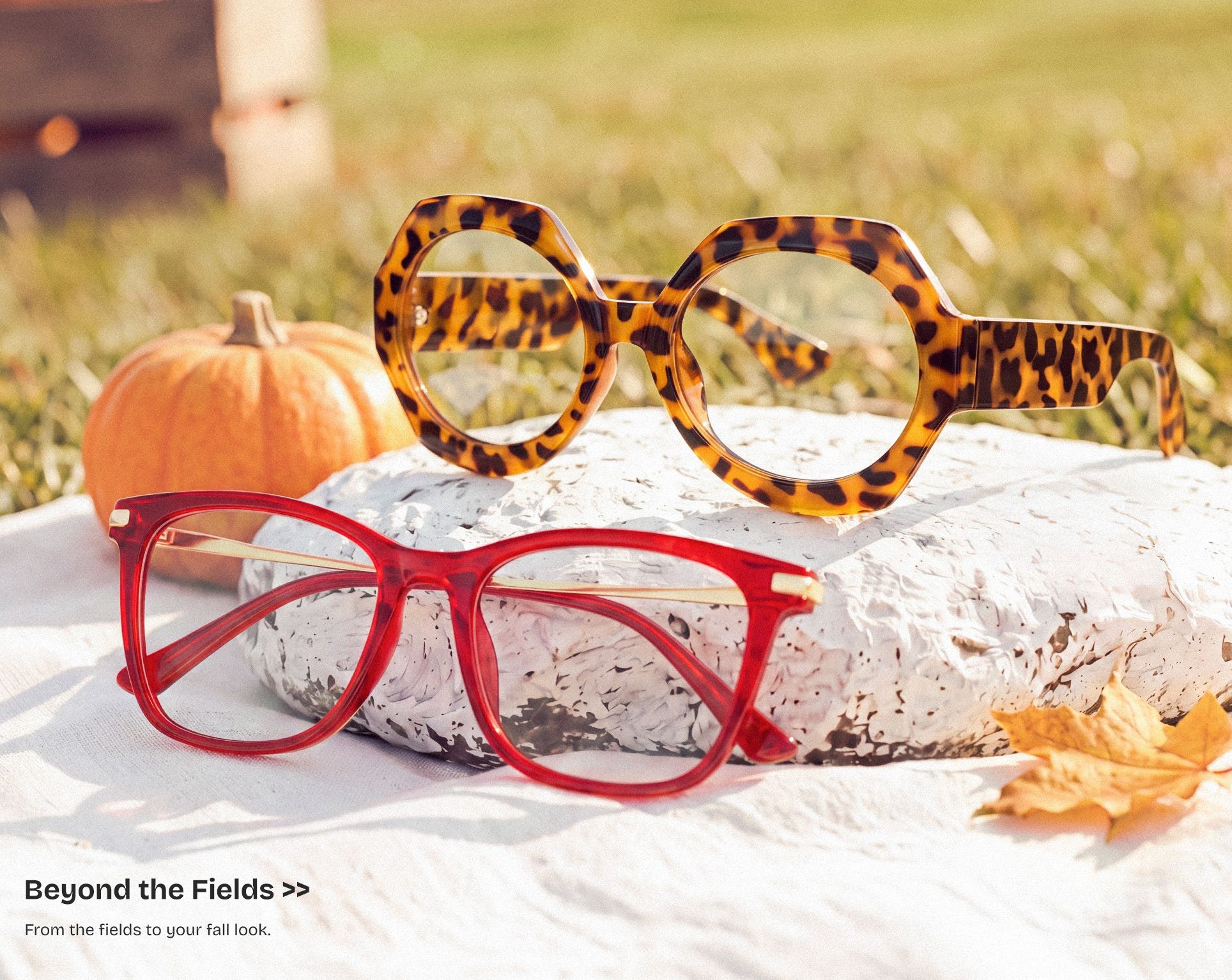 Eyewear Inspiration