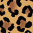 Brown Leopard