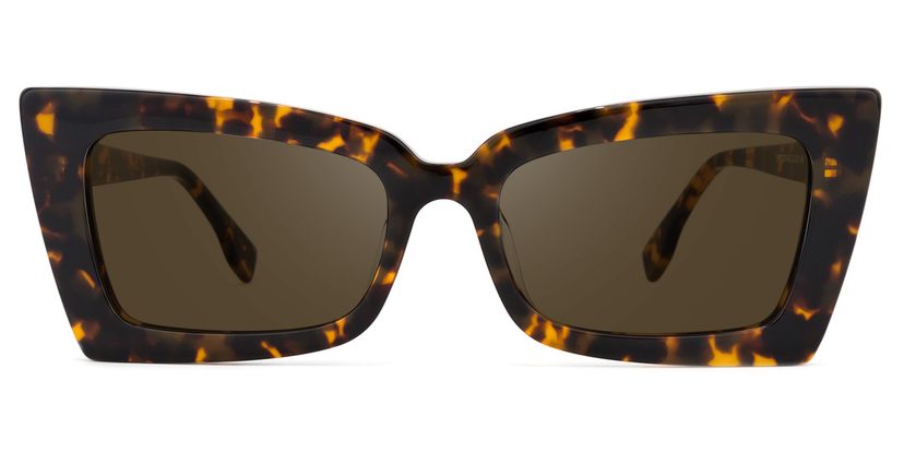 Newell Tortoise Rectangle Sunglasses