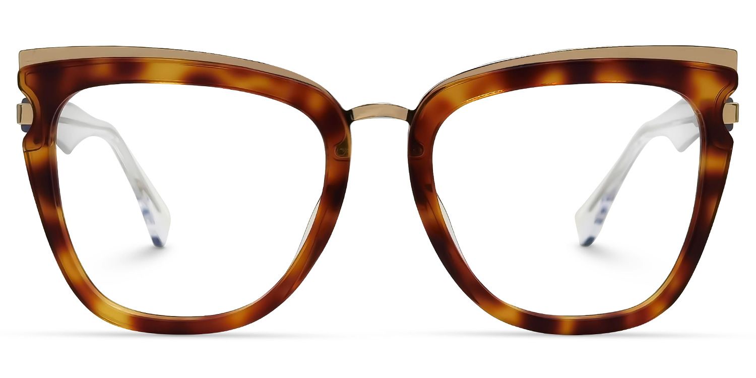 Vitez Square Tortoise Glasses | ZEELOOL UK0