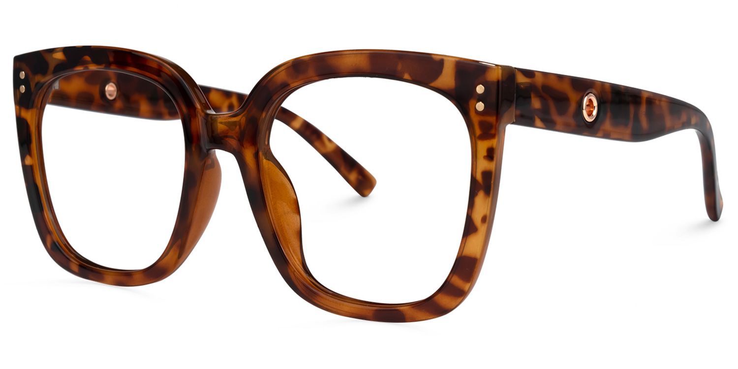 Ebony Tortoise Eyeglasses and Square Glasses Frames1
