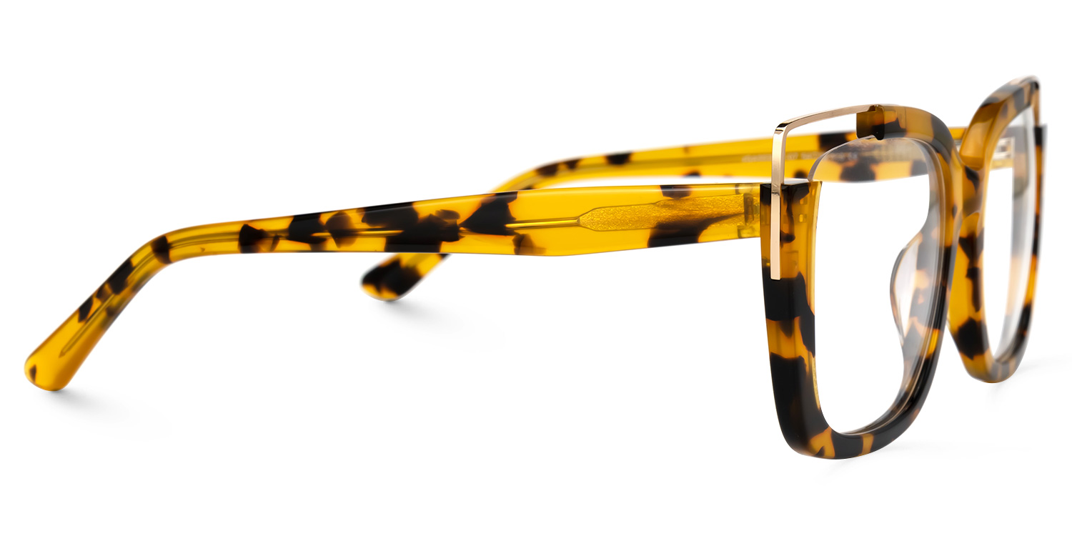 Dortch Square Tortoise Glasses2